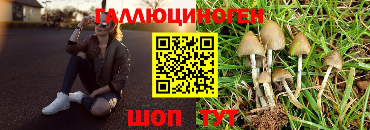 Галлюциногенные грибы Magic Shrooms Нурлат